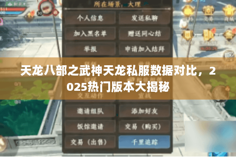 天龙八部之武神天龙私服数据对比，2025热门版本大揭秘