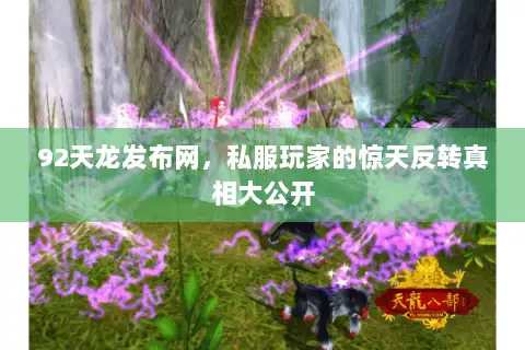 92天龙发布网,私服玩家的惊天反转真相大公开 92天龙发布网,私服玩家的惊天反转真相大公开