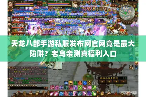 天龙八部手游私服发布网官网竟是最大陷阱？老鸟亲测真福利入口