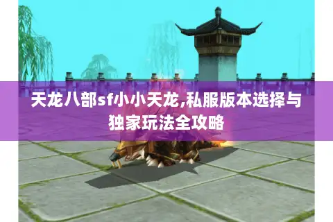 天龙八部sf小小天龙,私服版本选择与独家玩法全攻略