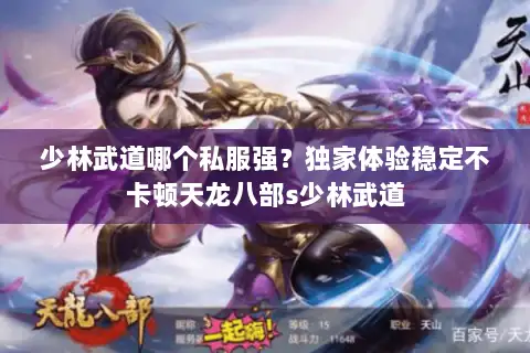 少林武道哪个私服强？独家体验稳定不卡顿天龙八部s少林武道