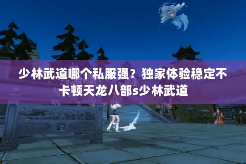 少林武道哪个私服强？独家体验稳定不卡顿天龙八部s少林武道