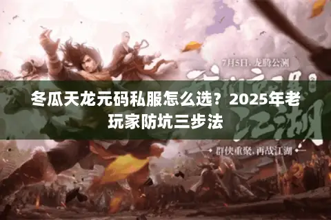 冬瓜天龙元码私服怎么选？2025年老玩家防坑三步法