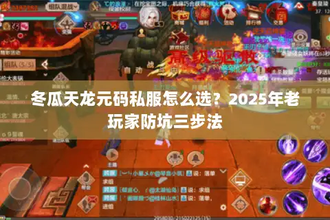 冬瓜天龙元码私服怎么选？2025年老玩家防坑三步法
