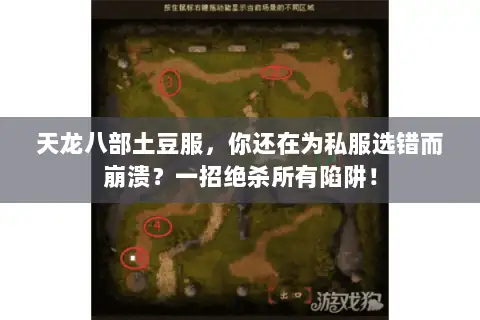 天龙八部土豆服，你还在为私服选错而崩溃？一招绝杀所有陷阱！
