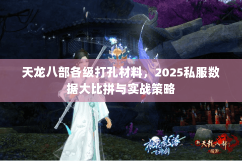 天龙八部各级打孔材料，2025私服数据大比拼与实战策略