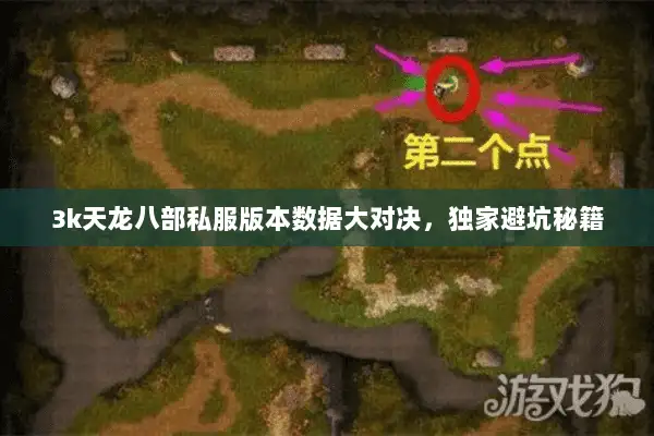 3k天龙八部私服版本数据大对决，独家避坑秘籍