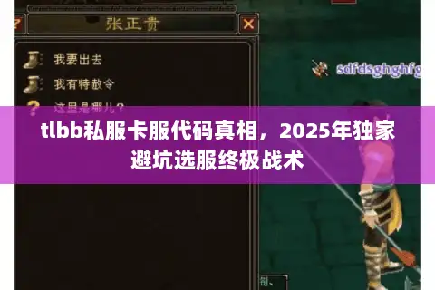 tlbb私服卡服代码真相,2025年独家避坑选服终极战术 tlbb私服卡服代码真相,2025年独家避坑选服终极战术