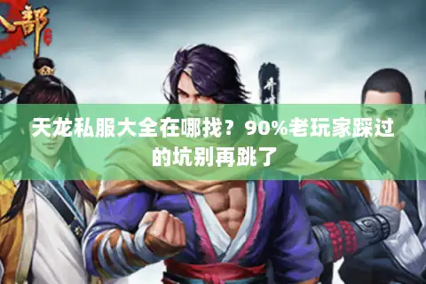 天龙私服大全在哪找？90%老玩家踩过的坑别再跳了