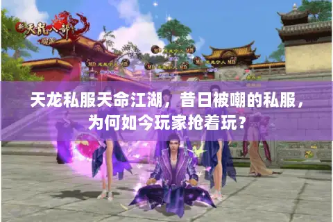 天龙私服天命江湖，昔日被嘲的私服，为何如今玩家抢着玩？