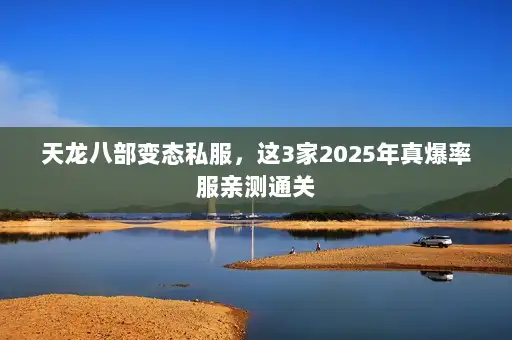 天龙八部变态私服，这3家2025年真爆率服亲测通关