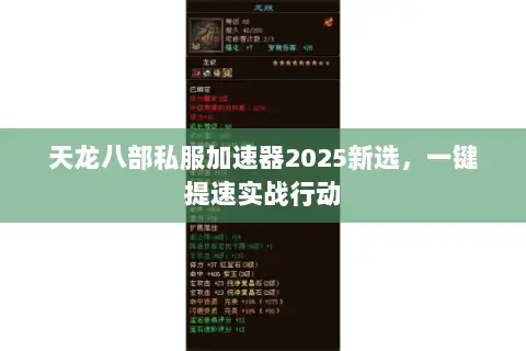 天龙八部私服加速器2025新选，一键提速实战行动
