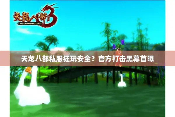 天龙八部私服狂玩安全?官方打击黑幕首曝 天龙八部私服狂玩安全?官方打击黑幕首曝