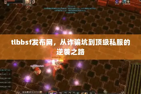 tlbbsf发布网，从诈骗坑到顶级私服的逆袭之路
