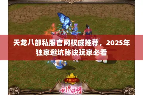 天龙八部私服官网权威推荐，2025年独家避坑秘诀玩家必看