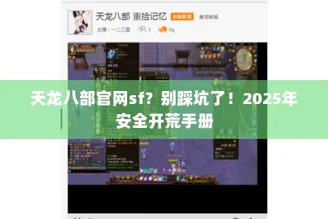 天龙八部官网sf？别踩坑了！2025年安全开荒手册