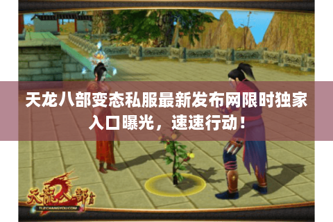 天龙八部变态私服最新发布网限时独家入口曝光，速速行动！