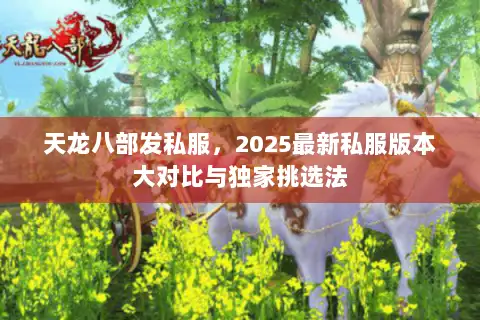 天龙八部发私服，2025最新私服版本大对比与独家挑选法