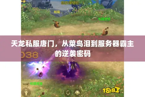 天龙私服唐门，从菜鸟泪到服务器霸主的逆袭密码