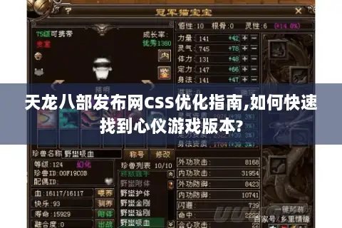 天龙八部发布网CSS优化指南,如何快速找到心仪游戏版本?