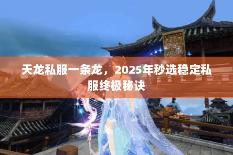 天龙私服一条龙，2025年秒选稳定私服终极秘诀