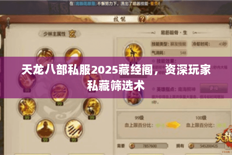 天龙八部私服2025藏经阁,资深玩家私藏筛选术 天龙八部私服2025藏经阁,资深玩家私藏筛选术