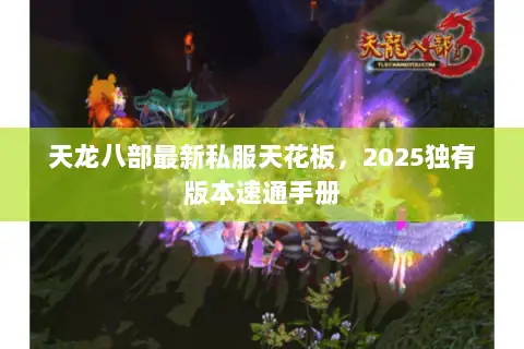 天龙八部最新私服天花板,2025独有版本速通手册 天龙八部最新私服天花板,2025独有版本速通手册