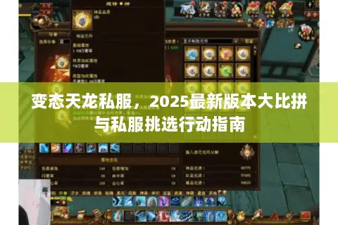 变态天龙私服,2025最新版本大比拼与私服挑选行动指南 变态天龙私服,2025最新版本大比拼与私服挑选行动指南