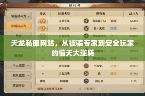 天龙私服网站,从被骗专家到安全玩家的惊天大逆转 天龙私服网站,从被骗专家到安全玩家的惊天大逆转