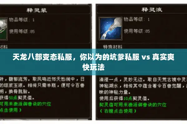 天龙八部变态私服，你以为的坑爹私服 vs 真实爽快玩法
