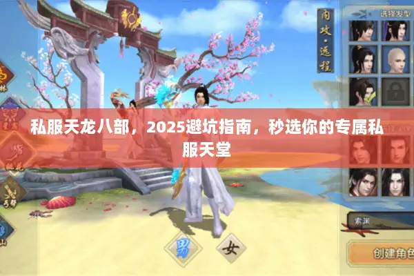 私服天龙八部，2025避坑指南，秒选你的专属私服天堂
