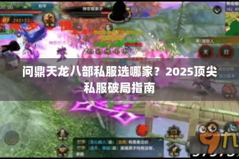 问鼎天龙八部私服选哪家?2025顶尖私服破局指南 问鼎天龙八部私服选哪家?2025顶尖私服破局指南