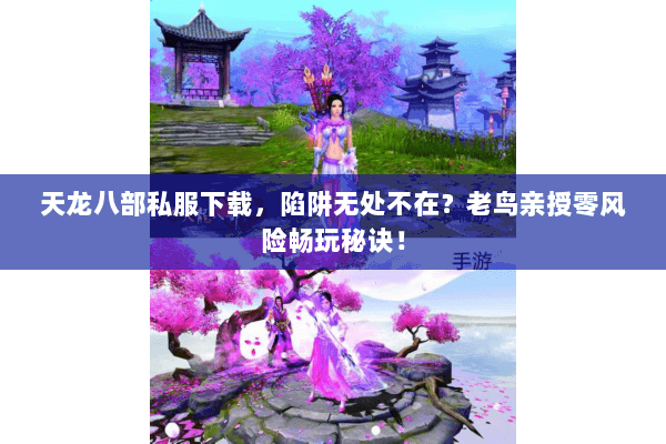 天龙八部私服下载，陷阱无处不在？老鸟亲授零风险畅玩秘诀！