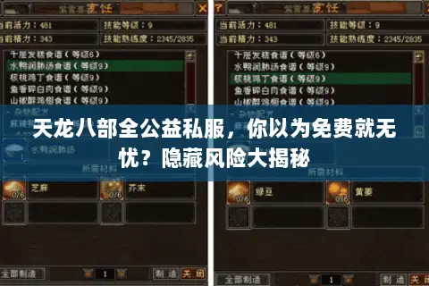 天龙八部全公益私服，你以为免费就无忧？隐藏风险大揭秘