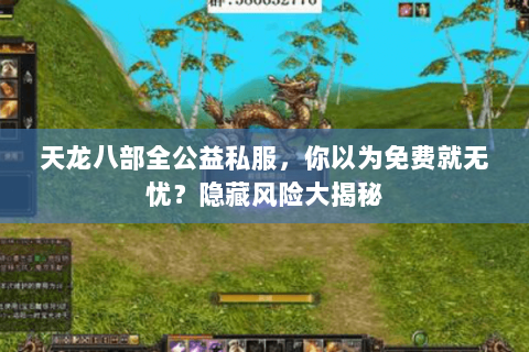 天龙八部全公益私服，你以为免费就无忧？隐藏风险大揭秘
