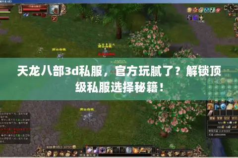天龙八部3d私服，官方玩腻了？解锁顶级私服选择秘籍！