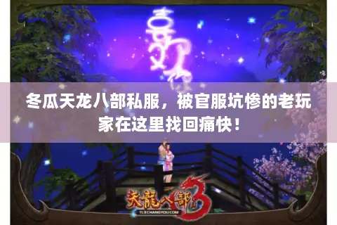 冬瓜天龙八部私服,被官服坑惨的老玩家在这里找回痛快! 冬瓜天龙八部私服,被官服坑惨的老玩家在这里找回痛快!