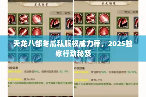 天龙八部冬瓜私服权威力荐，2025独家行动秘笈