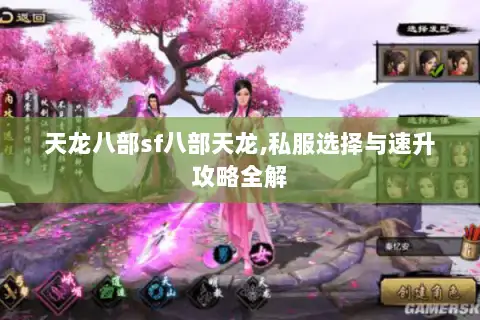 天龙八部sf八部天龙,私服选择与速升攻略全解