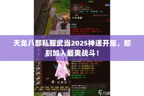 天龙八部私服武当2025神速开服，即刻加入最爽战斗！