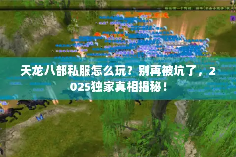 天龙八部私服怎么玩?别再被坑了,2025独家真相揭秘! 天龙八部私服怎么玩?别再被坑了,2025独家真相揭秘!