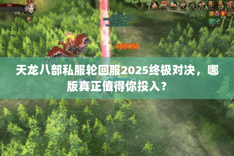 天龙八部私服轮回服2025终极对决，哪版真正值得你投入？