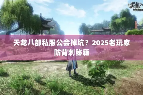 天龙八部私服公会掉坑？2025老玩家防背刺秘籍