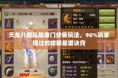 天龙八部私服唐门终极玩法，90%玩家错过的暗器暴增诀窍