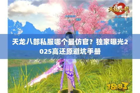 天龙八部私服哪个最仿官？独家曝光2025高还原避坑手册