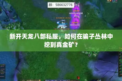 新开天龙八部私服，如何在骗子丛林中挖到真金矿？