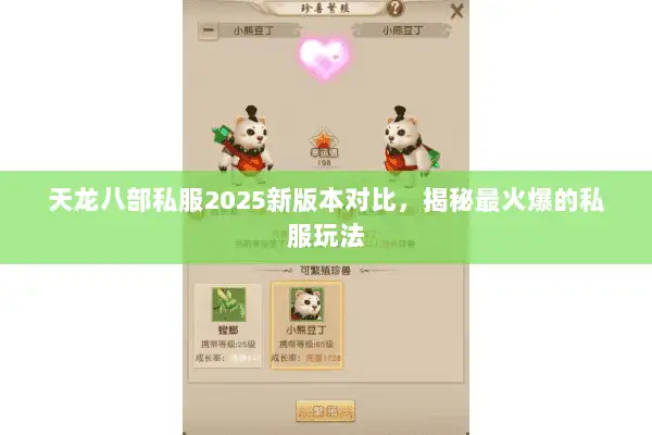 天龙八部私服2025新版本对比，揭秘最火爆的私服玩法