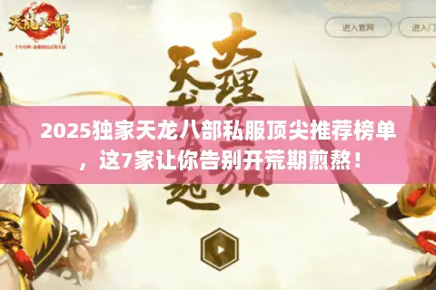 2025独家天龙八部私服顶尖推荐榜单，这7家让你告别开荒期煎熬！