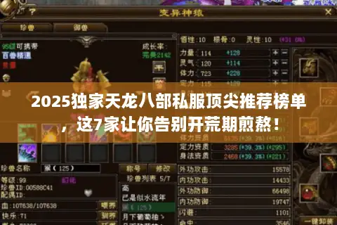 2025独家天龙八部私服顶尖推荐榜单，这7家让你告别开荒期煎熬！