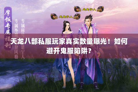 天龙八部私服玩家真实数量曝光!如何避开鬼服陷阱? 天龙八部私服玩家真实数量曝光!如何避开鬼服陷阱?